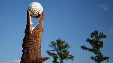 Video: Matt Fitzpatrick tváří v tvář aligátorovi - golfové drama na Zurich Classic